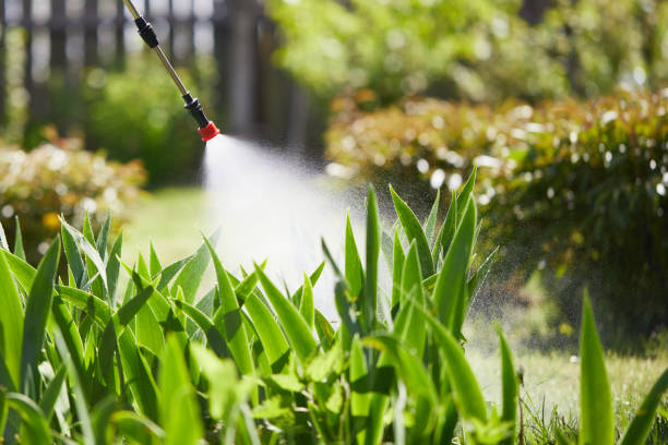 24/7 Emergency Mosquito Control experts in Wasilla, AK