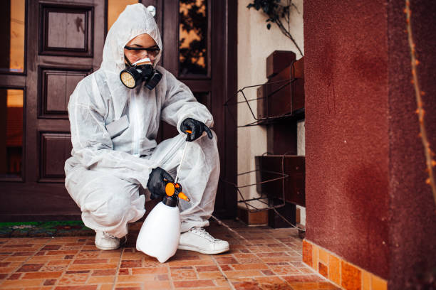 Reliable Mosquito Control contractor in Wasilla, AK by Show Me Pest Control