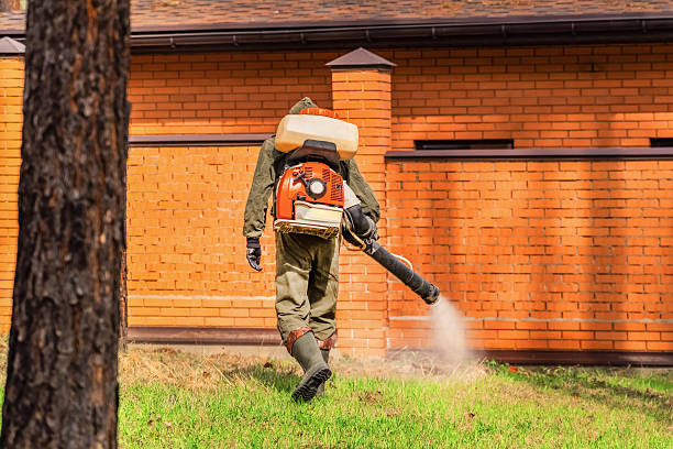 Top rated local Mosquito Control specialists in Wasilla, AK